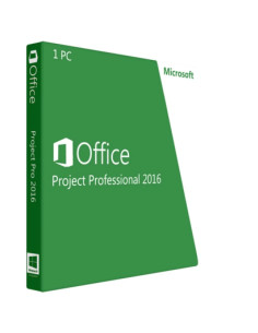 Project 2016 Professional